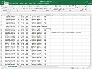 Screenshot af en .csv-fil i Microsoft Excel 2016