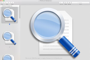 Skærmbillede af en .icns-fil i Apple Preview 10