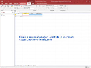 Skærmbillede af en .mdb-fil i Microsoft Access 2016