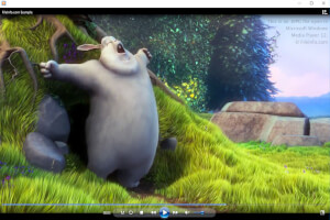 Screenshot af en .mpg-fil i Microsoft Windows Media Player 12