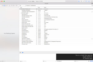 Skærmbillede af en .plist-fil i Apple Xcode 9