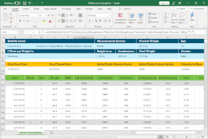 Skærmbillede af et .xls-fil i Microsoft Excel 2019