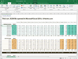 Skærmbillede af en .xlsm-fil i Microsoft Excel 2016