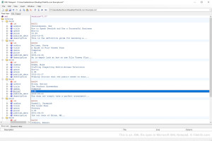 Skærmbillede af en .xml-fil i Microsoft XML Notepad